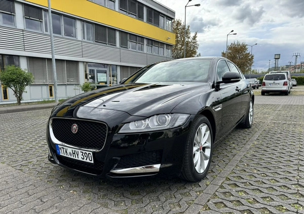 Jaguar XF cena 159900 przebieg: 39500, rok produkcji 2020 z Częstochowa małe 667